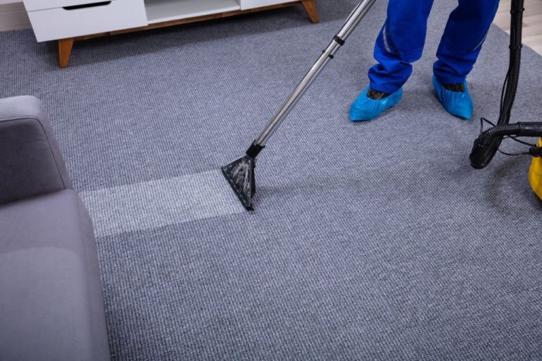 Why Every Family Needs Professional Carpet Cleaning