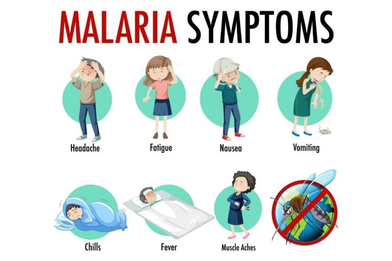 Malaria Symptoms – Learn Important Terms and Concepts