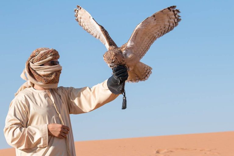 Desert Safari Dubai – A Must See Attraction